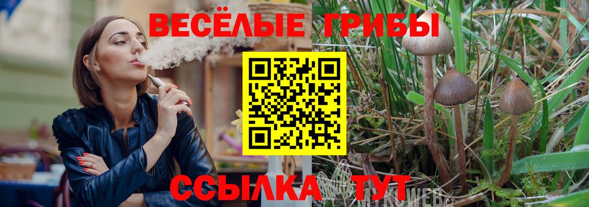 Галлюциногенные грибы MAGIC MUSHROOMS  Вход с VPN  закладки  Крымск  Галлюциногенные грибы GOLDEN TEACHER 